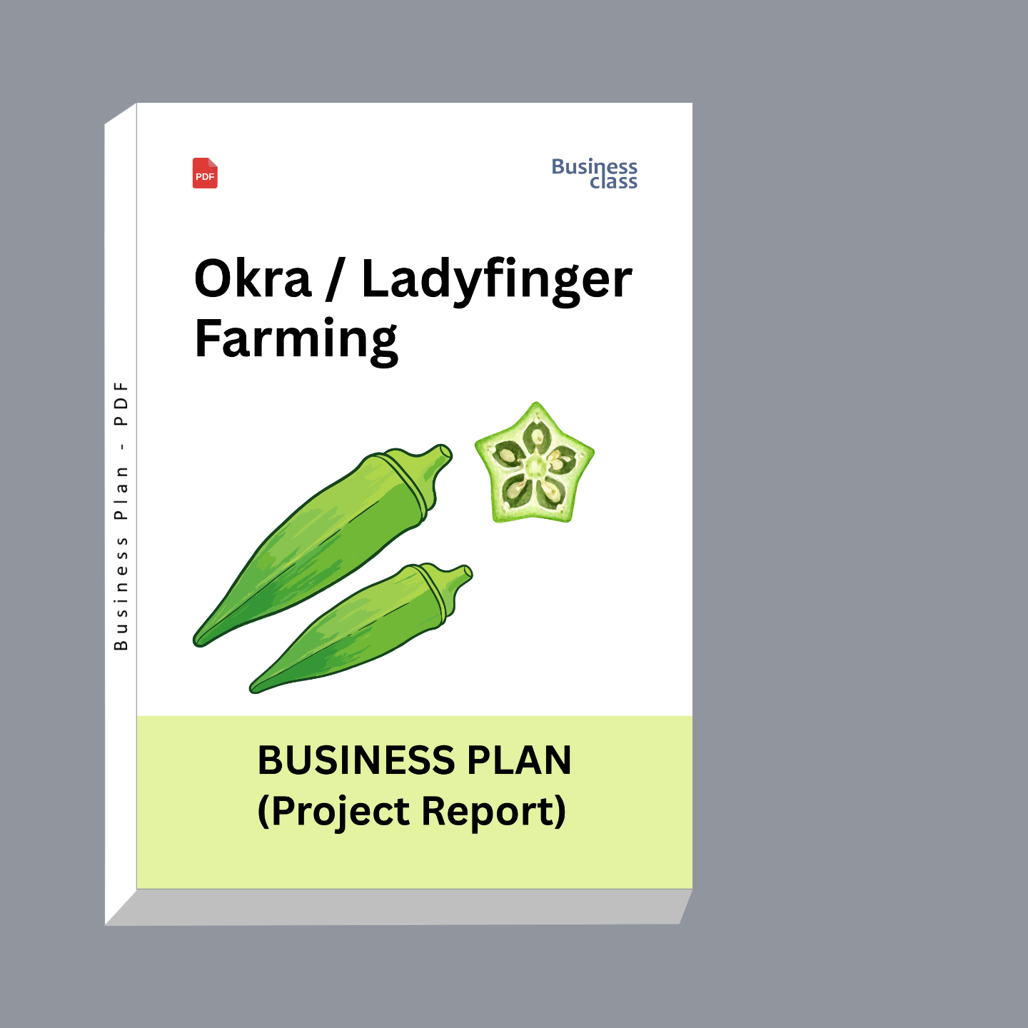 Okra Farming Project Report and Business Plan PDF Ebook | Ladyfinger Cultivation Cost, Profit, Yield & Bank Loan Guide