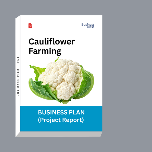 Cauliflower Farming Project Report & Business Plan PDF eBook