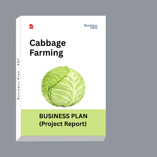 Cabbage Farming Project Report and Business Plan PDF | Cost, Profit, Bank Loan & Commercial Cultivation Guide