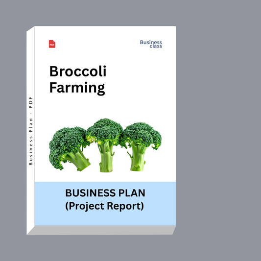 Broccoli Farming Project Report & Business Plan PDF | Cost of Cultivation, Profitability and Financial Projections