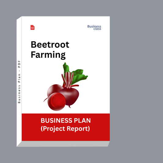 Beetroot Farming Project Report & Business Plan PDF