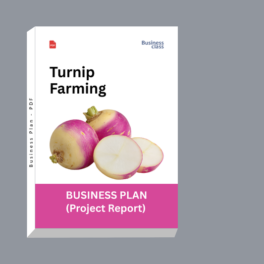 Turnip Farming Project Report and Business Plan PDF eBook | Cost, Yield, Profit, Investment and Financial Plan