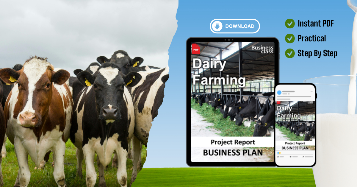 Dairy Farming Project Report and Business Guides Bundle