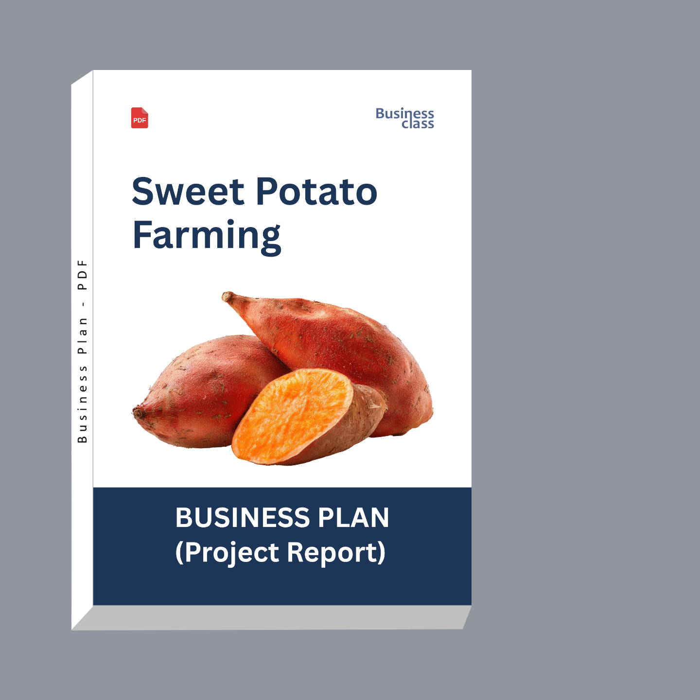Sweet Potato Farming Project Report & Business Plan PDF | Cost, Profit, Cash Flow and Financial Plan