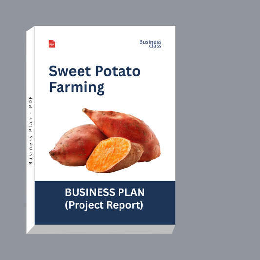 Sweet Potato Farming Project Report & Business Plan PDF | Cost, Profit, Cash Flow and Financial Plan