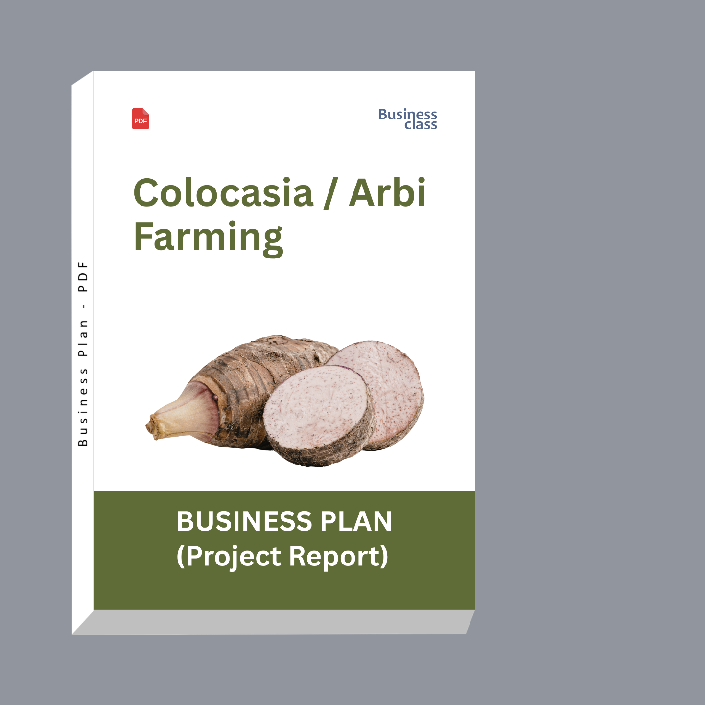 Colocasia (Arbi / Taro) Farming Project Report & Business Plan PDF