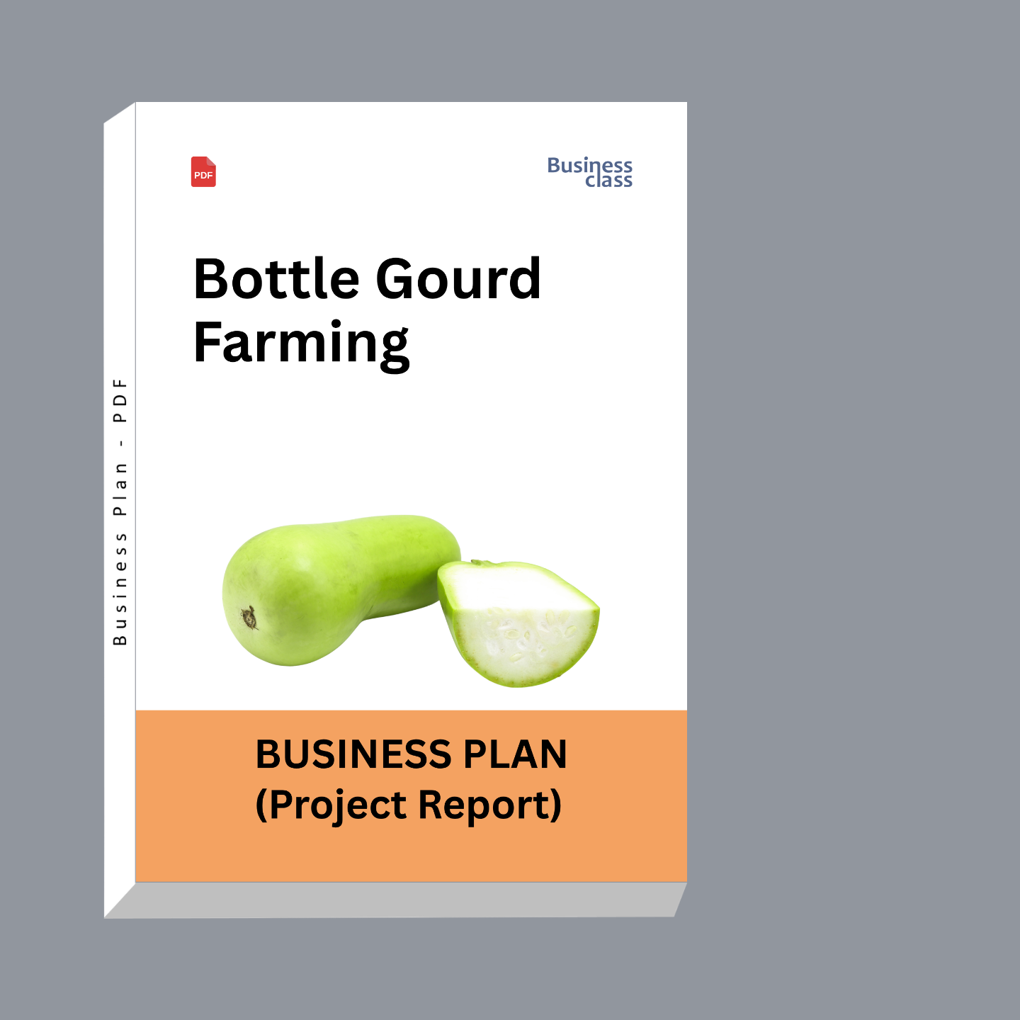 Bottle Gourd Farming Project Report and Business Plan PDF eBook