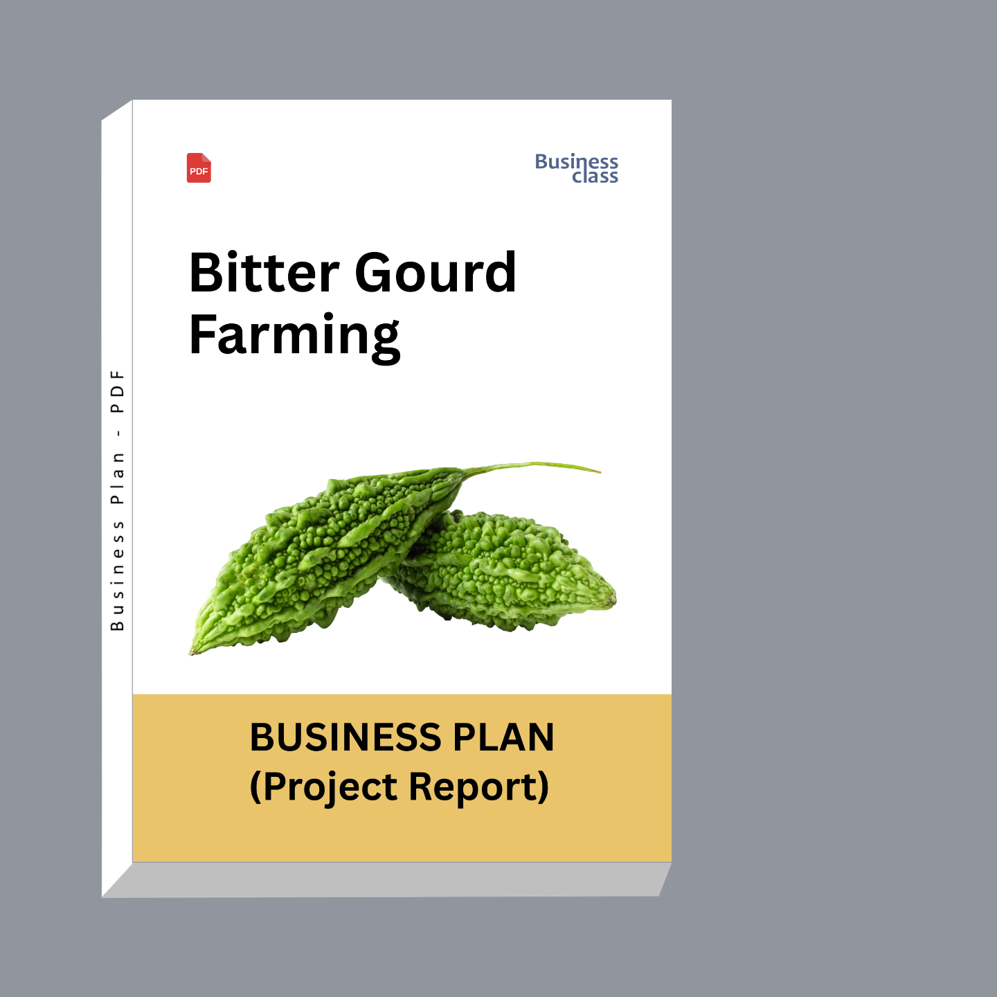 Bitter Gourd Farming Project Report and Business Plan PDF eBook | Karela / Bitter Melon Cultivation Guide
