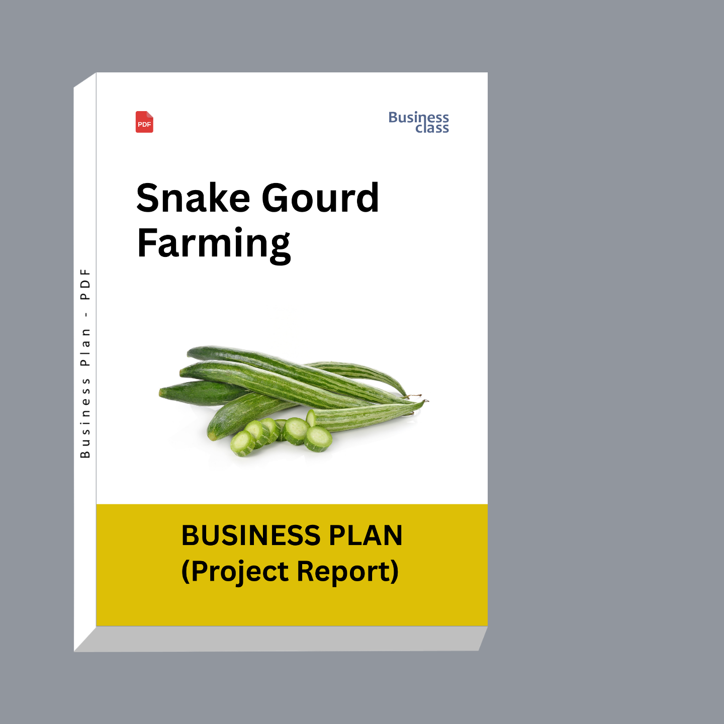 Snake Gourd Farming Project Report & Business Plan PDF Ebook