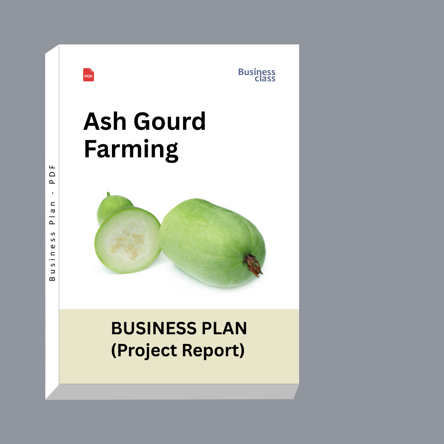 Ash Gourd Farming Business Plan Project Report PDF eBook | Commercial Cultivation, Cost, Profit & Loan Plan