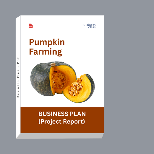 Pumpkin Farming Project Report and Business Plan PDF Ebook | Cost, Profit, Cash Flow & Loan Analysis