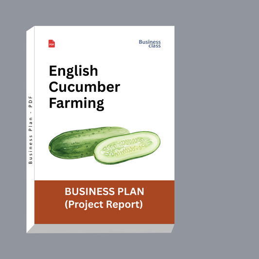 English Cucumber Farming Project Report & Business Plan PDF