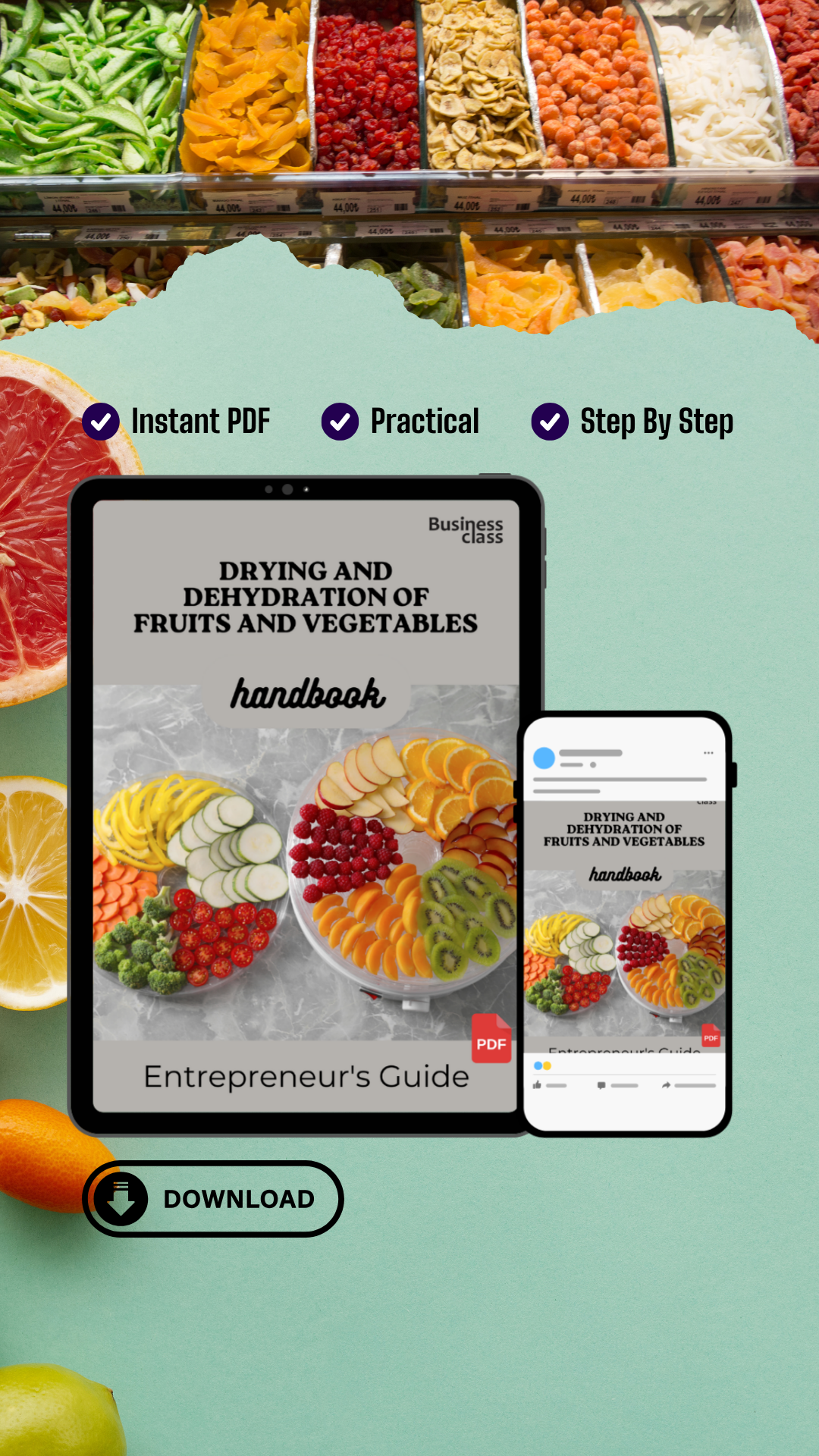 Drying and Dehydration of Fruits And Vegetables Handbook Entrepreneurs Guide and Business Training Bundle