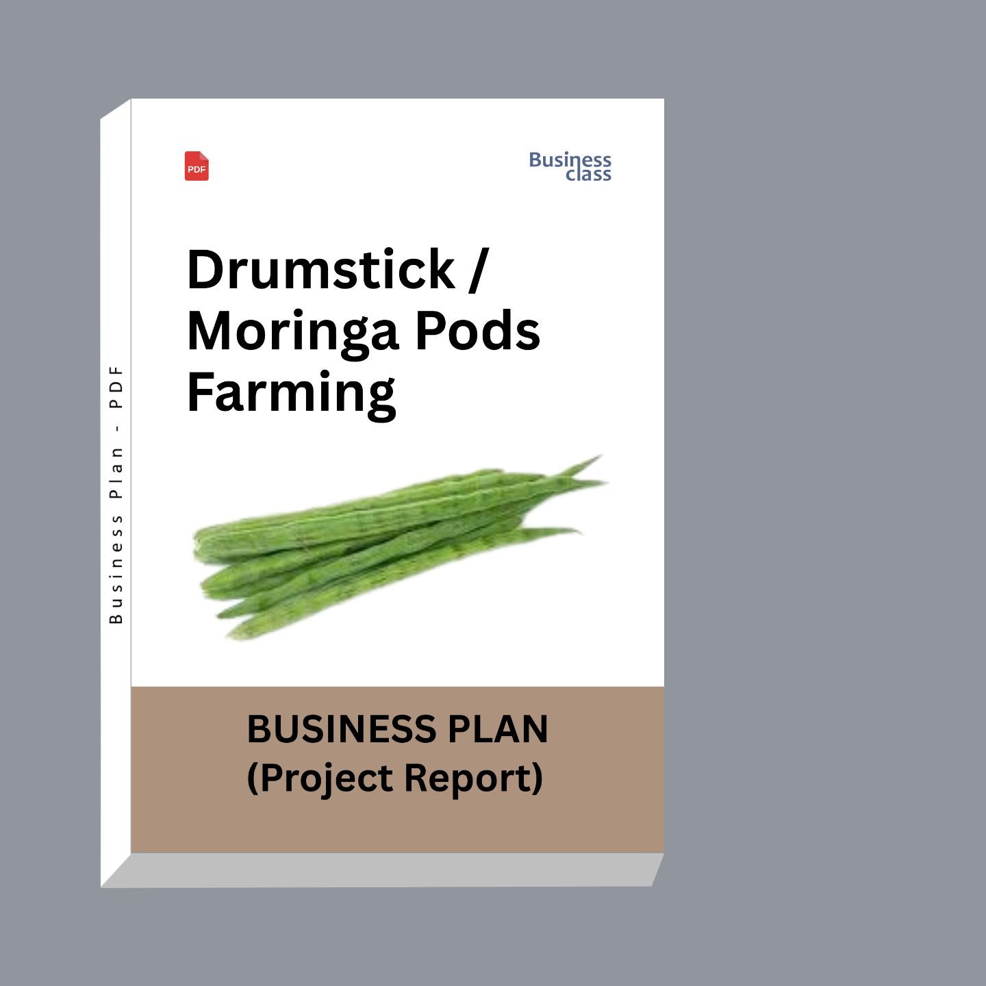 Drumstick / Moringa Pods Farming Project Report & Business Plan PDF eBook