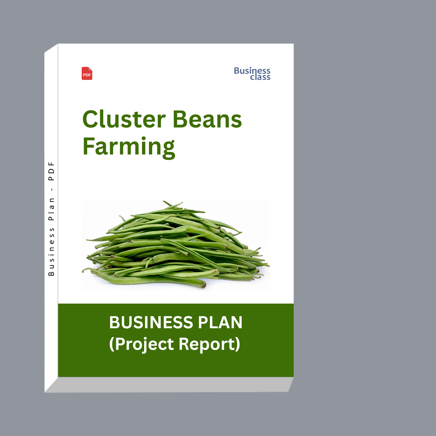 Cluster Beans Farming Project Report and Business Plan PDF eBook