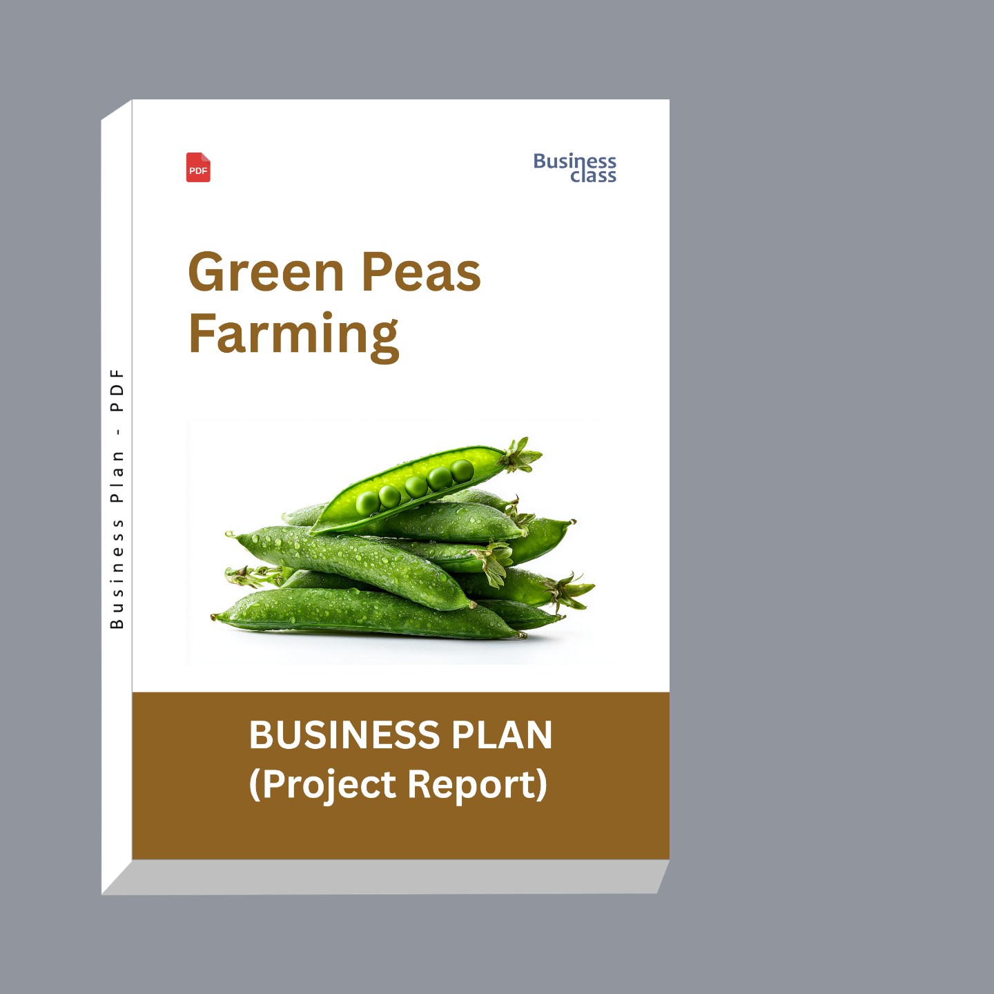 Green Peas Farming Project Report & Business Plan PDF | Cost, Yield, Profit, Cultivation and Bank Loan Guide