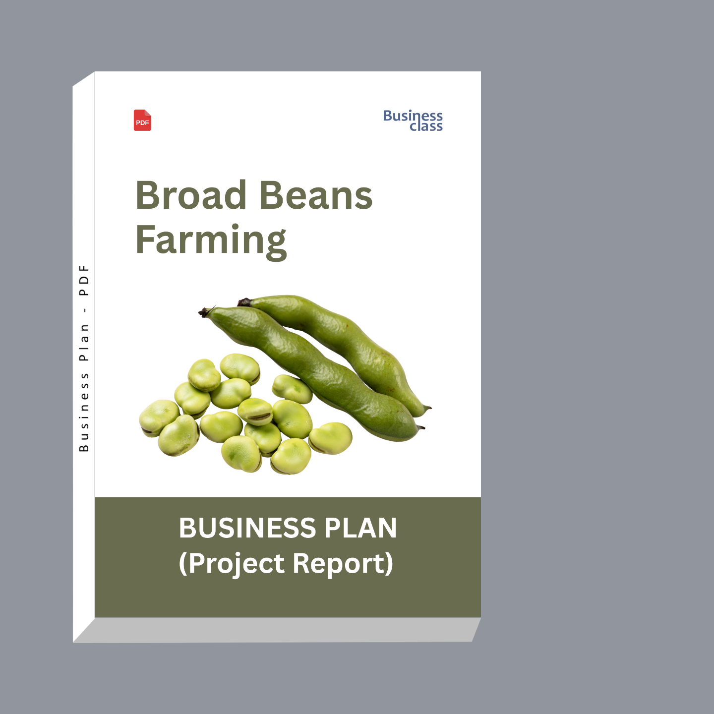 Broad Beans Farming Project Report and Business Plan PDF | Fava Bean Cost, Profit & Financial Plan