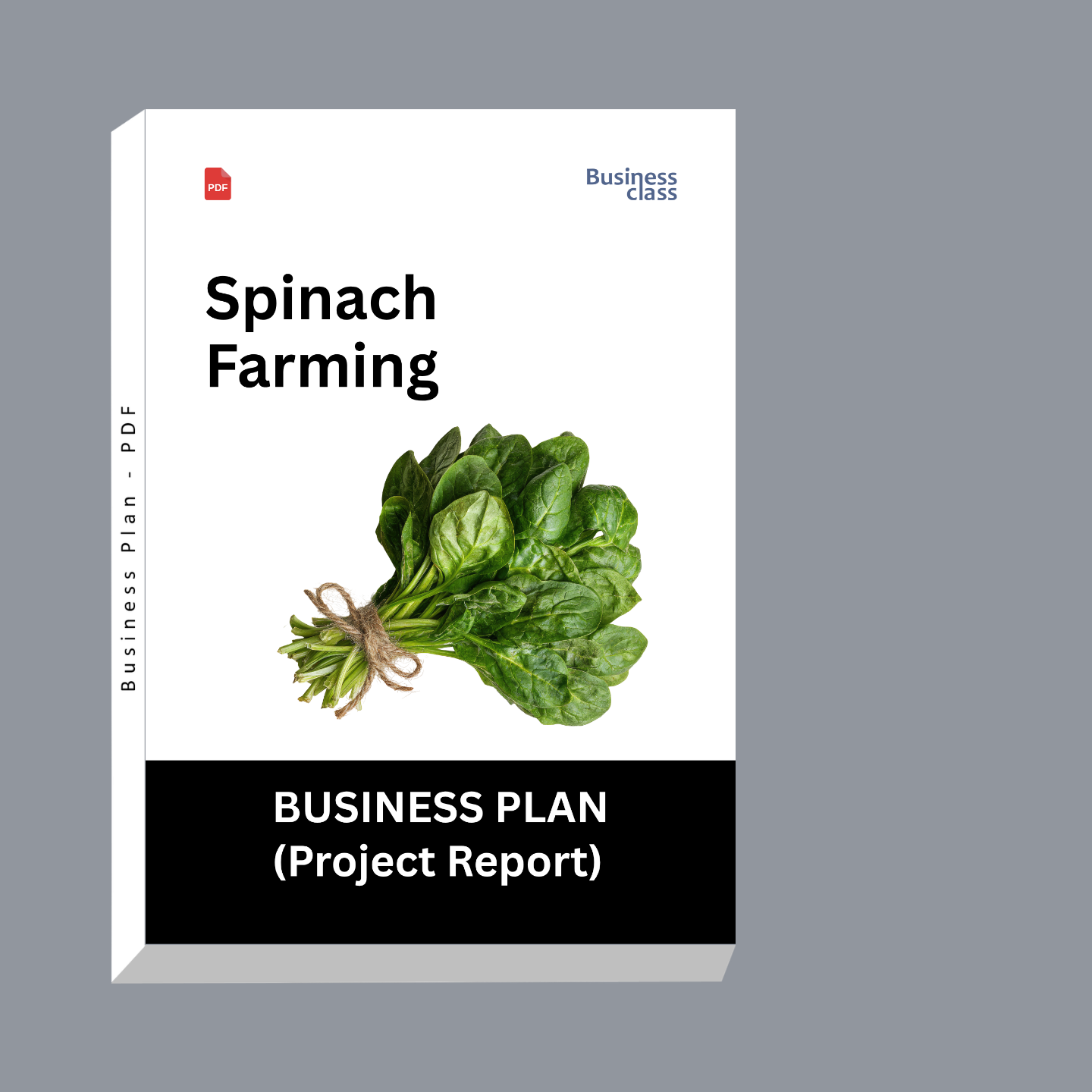 Spinach Farming Project Report & Business Plan PDF – Cost, Profit, Cultivation and Marketing Guide