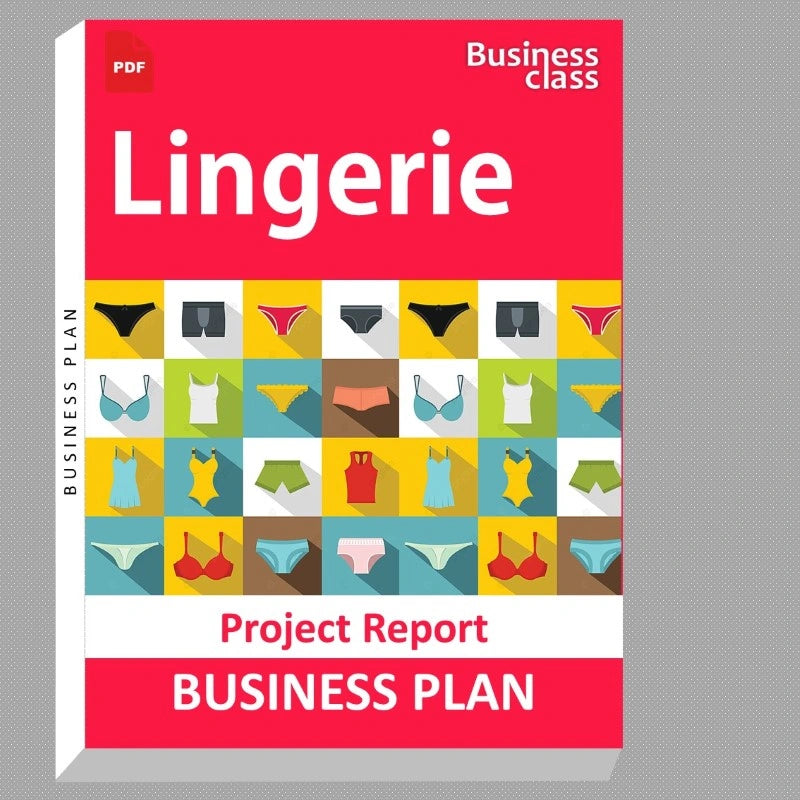 Lingerie Project Report and Business Guides Bundle