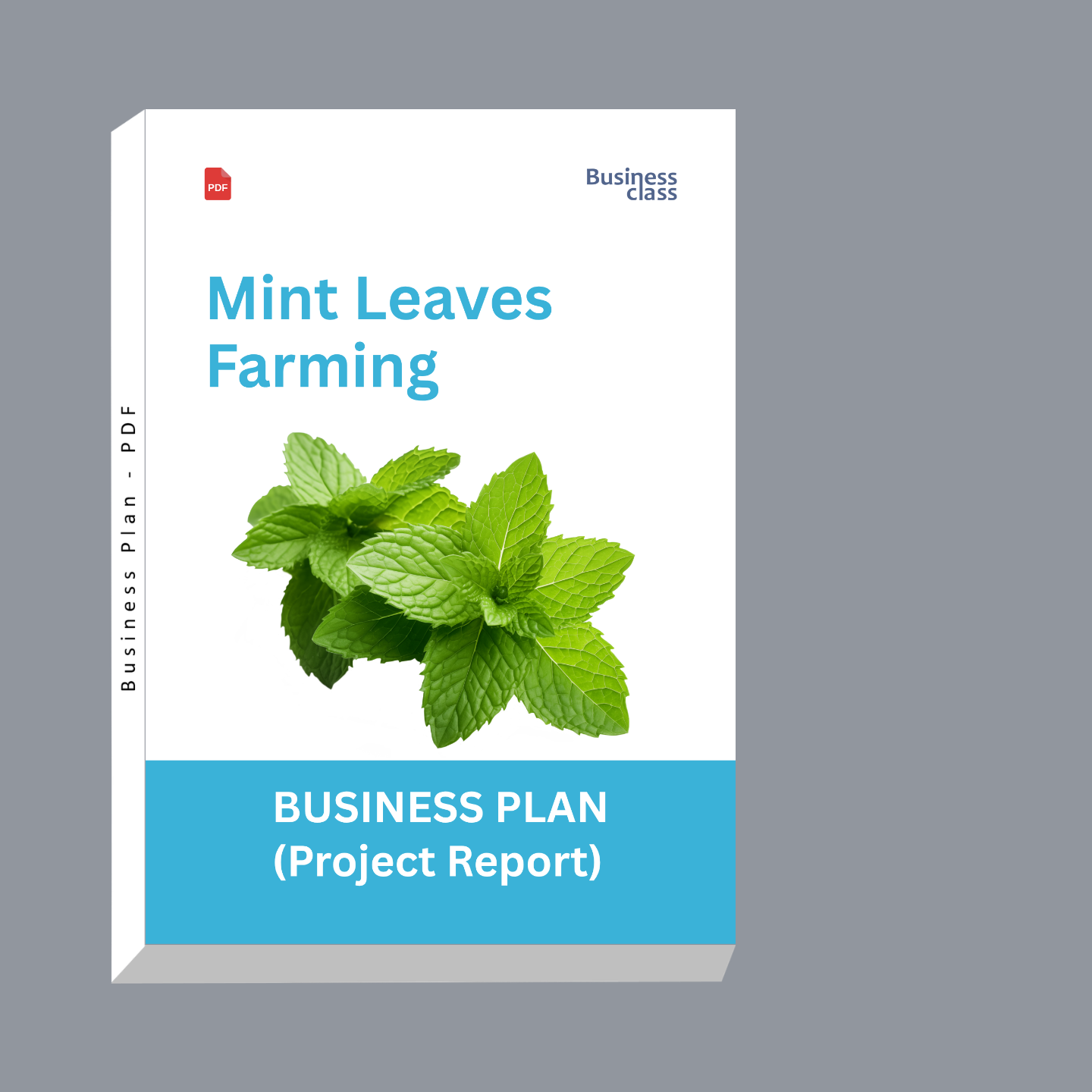 Mint Leaves Farming Project Report & Business Plan PDF eBook | Mint Cultivation Cost, Profit, Bank Loan and Financial Plan