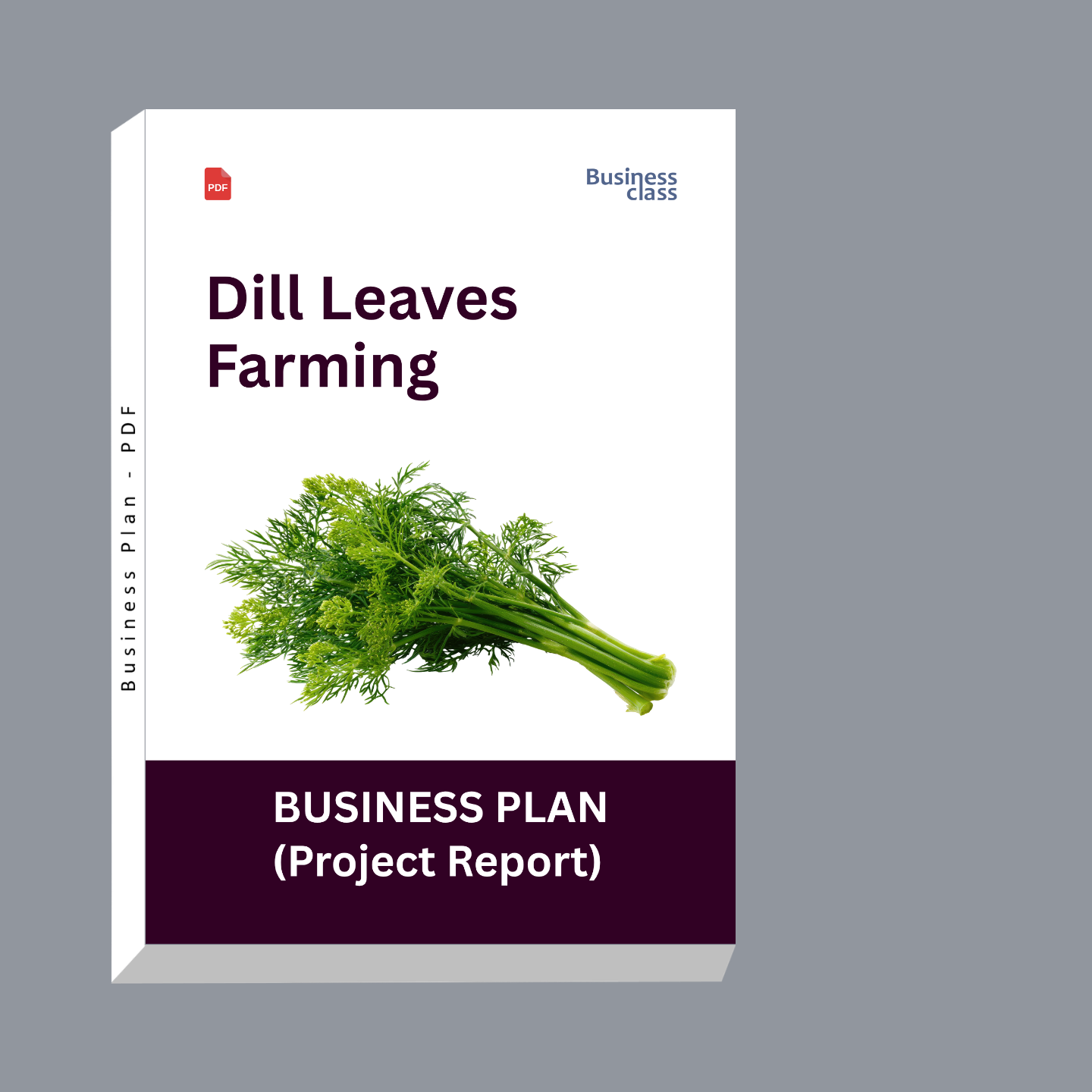 Dill Leaves Farming Project Report and Business Plan PDF eBook