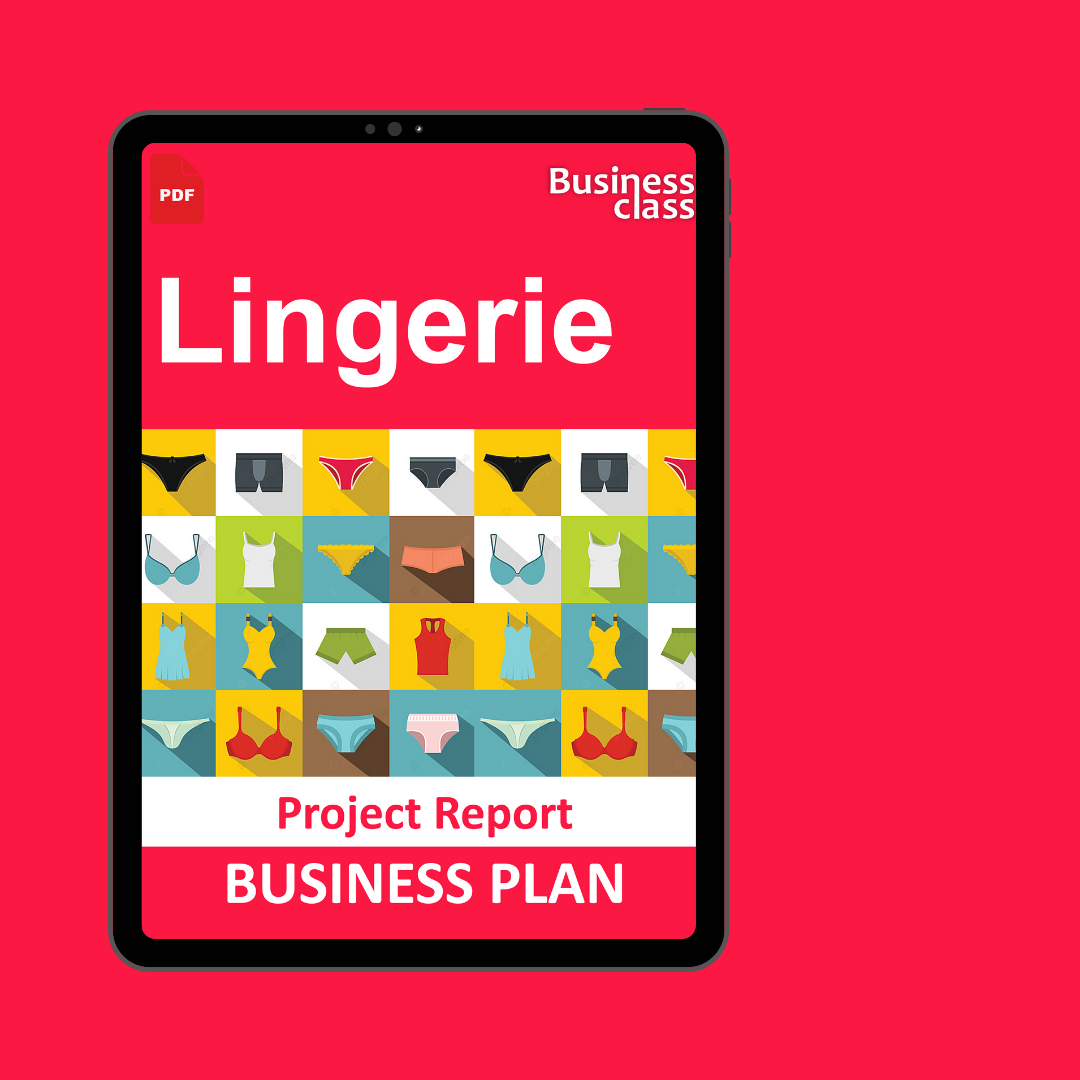 Lingerie Project Report and Business Guides Bundle