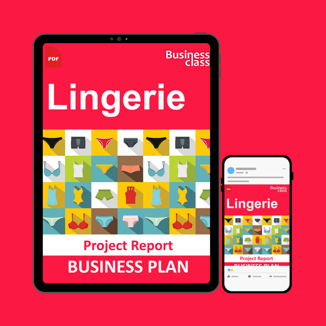 Lingerie Project Report and Business Guides Bundle