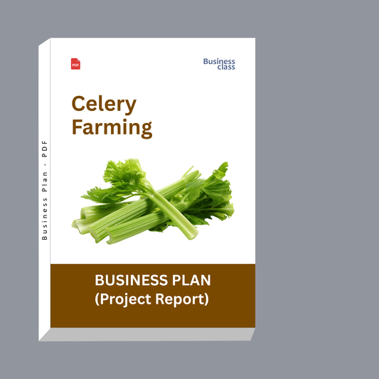 Celery Farming Project Report & Business Plan PDF | Cost, Profit, Cash Flow and Bank Loan Ready Format
