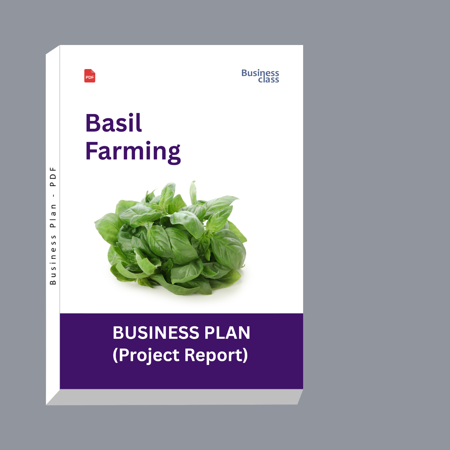 Basil Farming Project Report & Business Plan PDF Ebook
