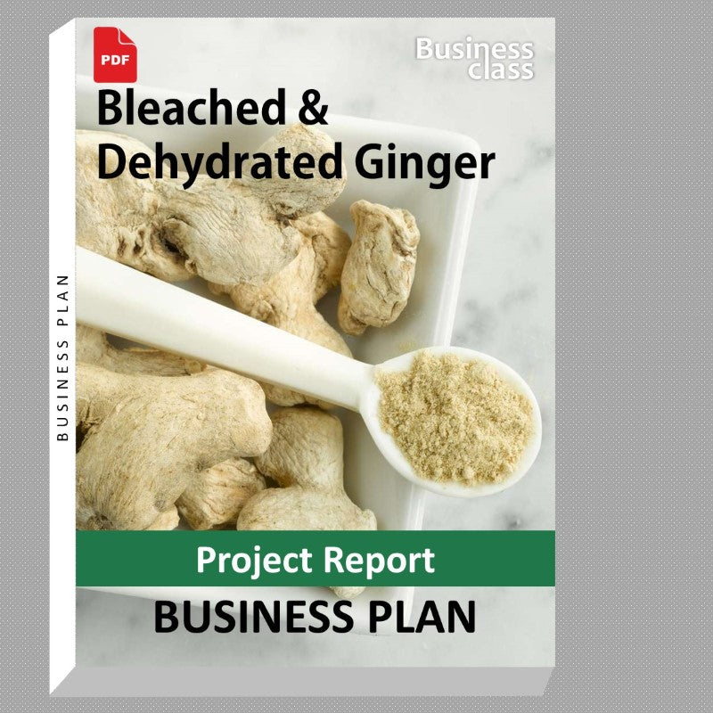 Bleached & Dehydrated Ginger Project Report and Business Guides Bundle