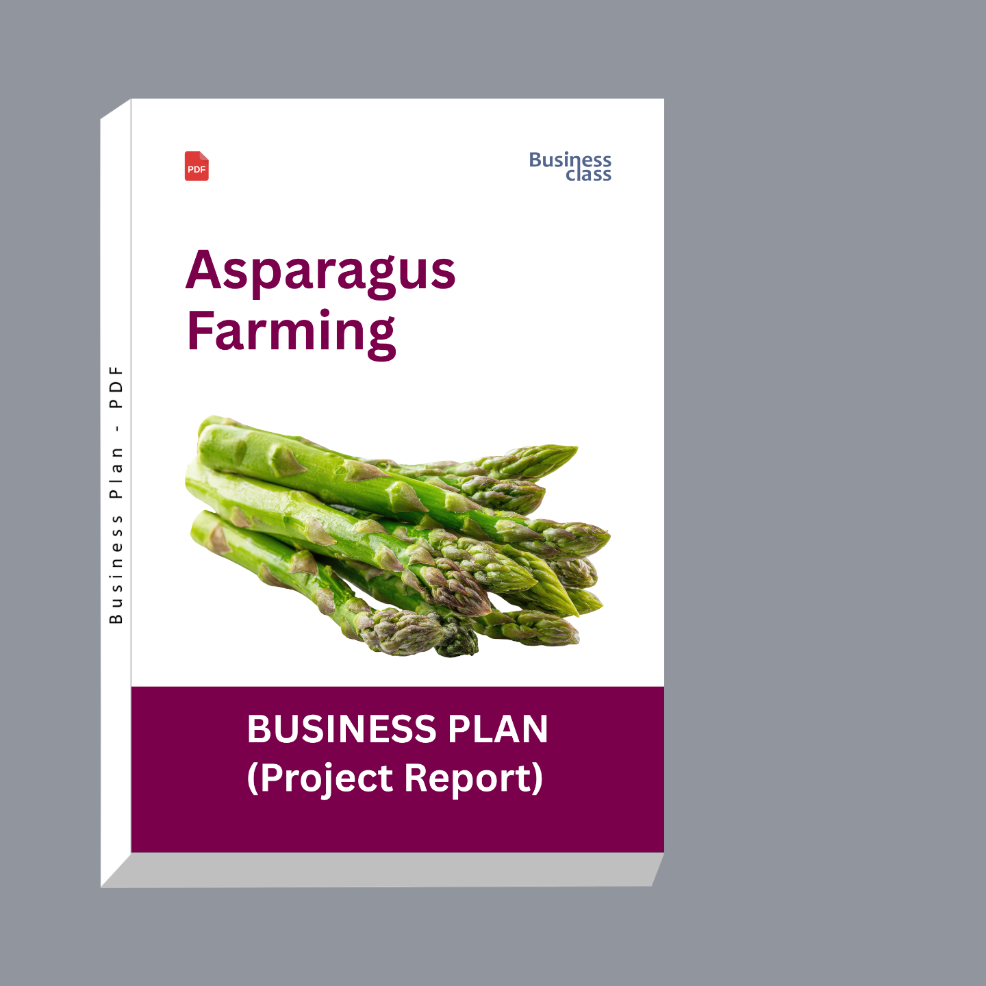 Asparagus Farming Project Report & Business Plan PDF eBook | Startup Cost, Profitability & Financial Projections
