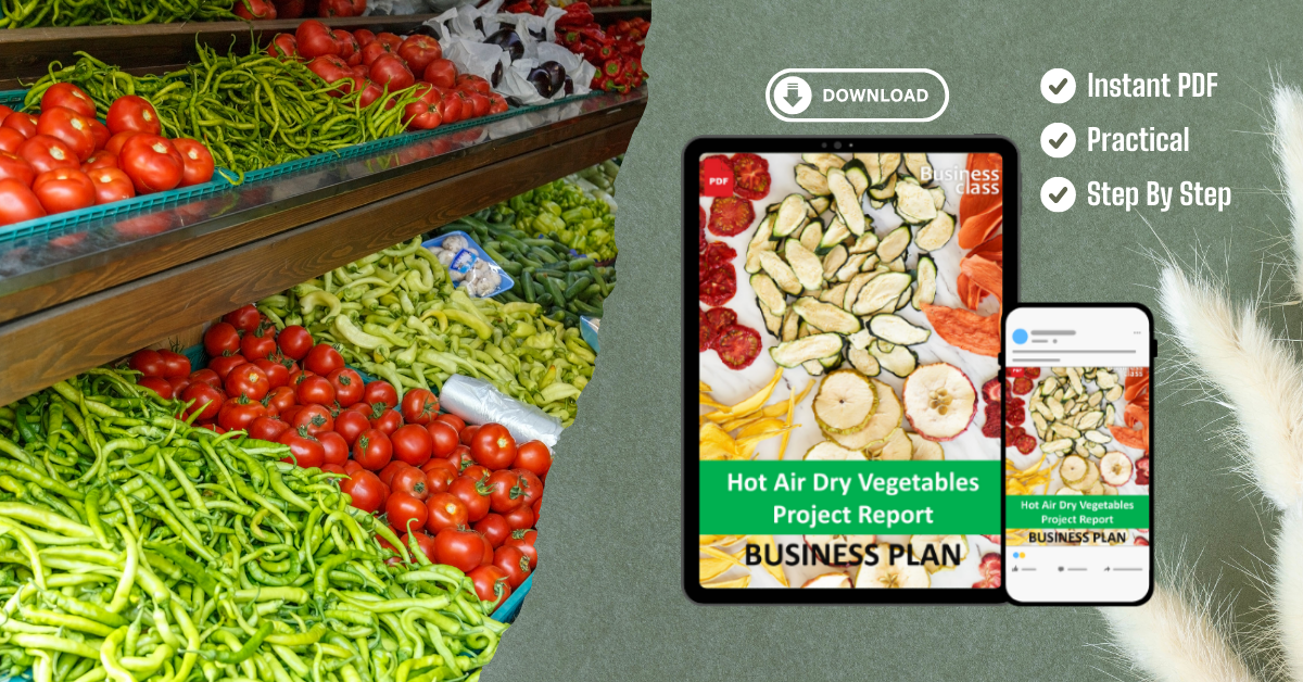 Hot Air Dry Vegetables Project Report and Business Guides Bundle