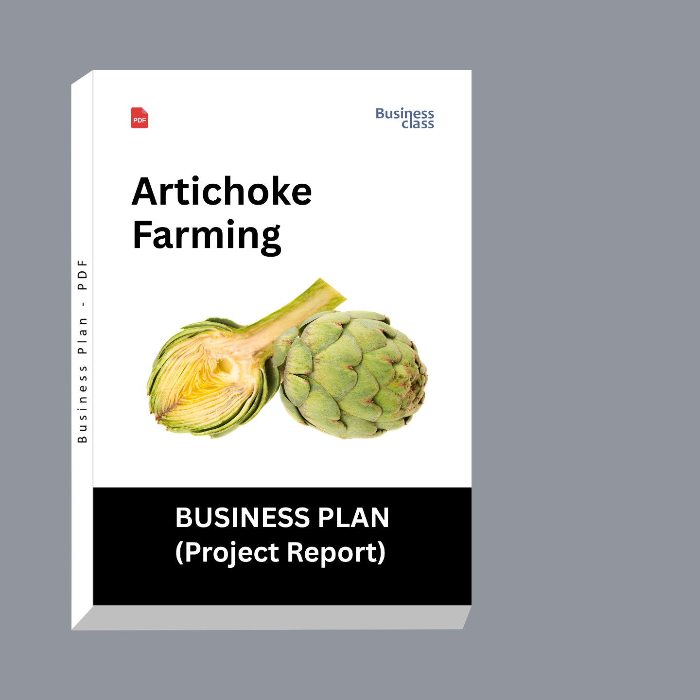 Artichoke Farming Business Plan Project Report PDF eBook for India