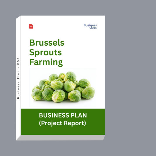 Brussels Sprouts Farming Project Report & Business Plan PDF | Cost, Profit, Cultivation, Financials