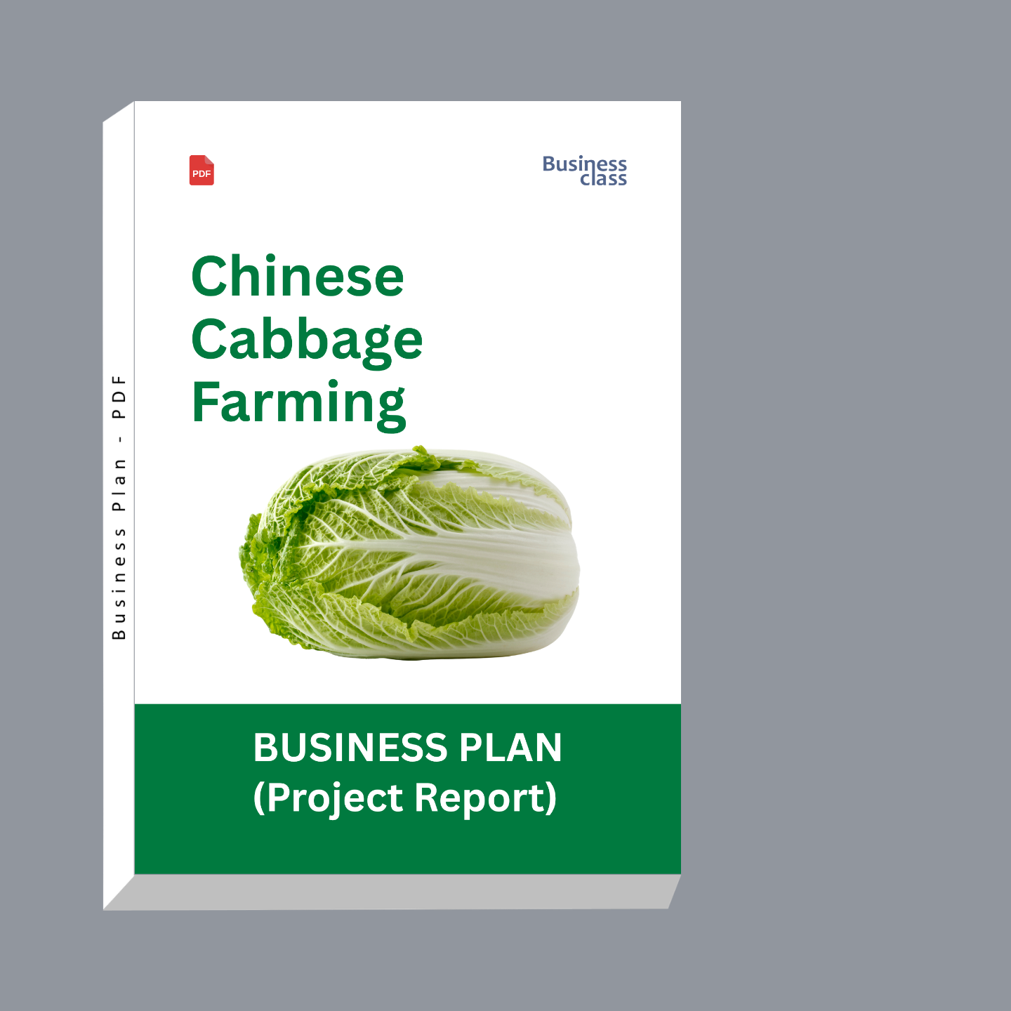 Chinese Cabbage Farming Project Report & Business Plan PDF Ebook