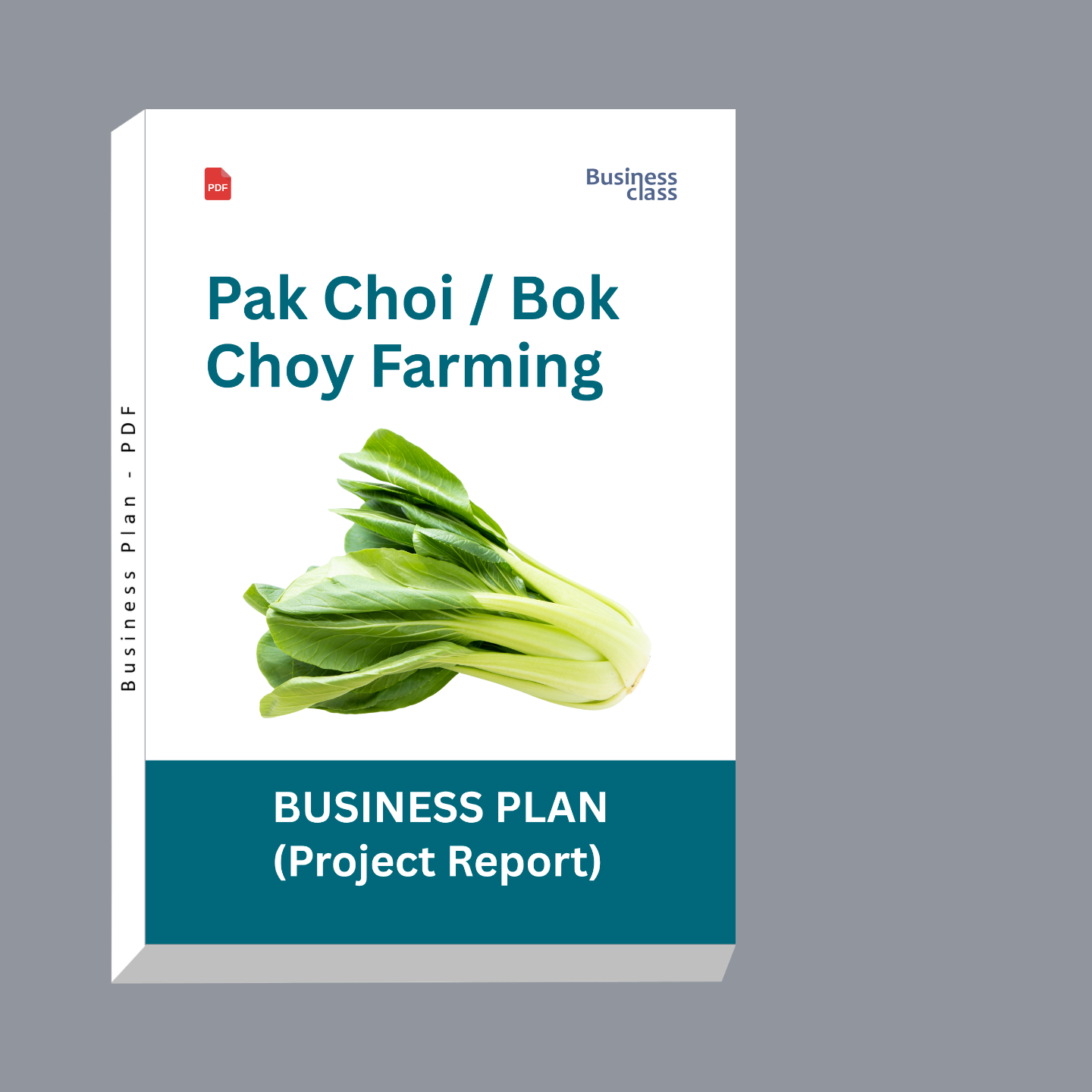 Pak Choi / Bok Choy Farming Project Report & Business Plan PDF | Commercial Cultivation, Startup Cost, Profit Analysis