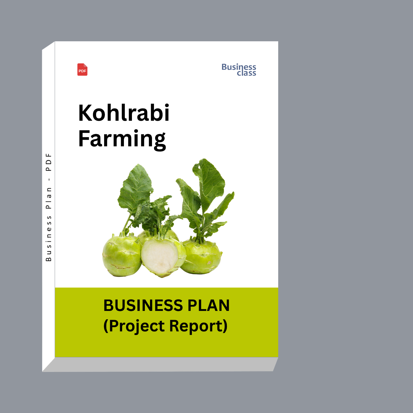 Kohlrabi Farming Project Report and Business Plan PDF | Cost, Profit, Cash Flow & Financial Projections