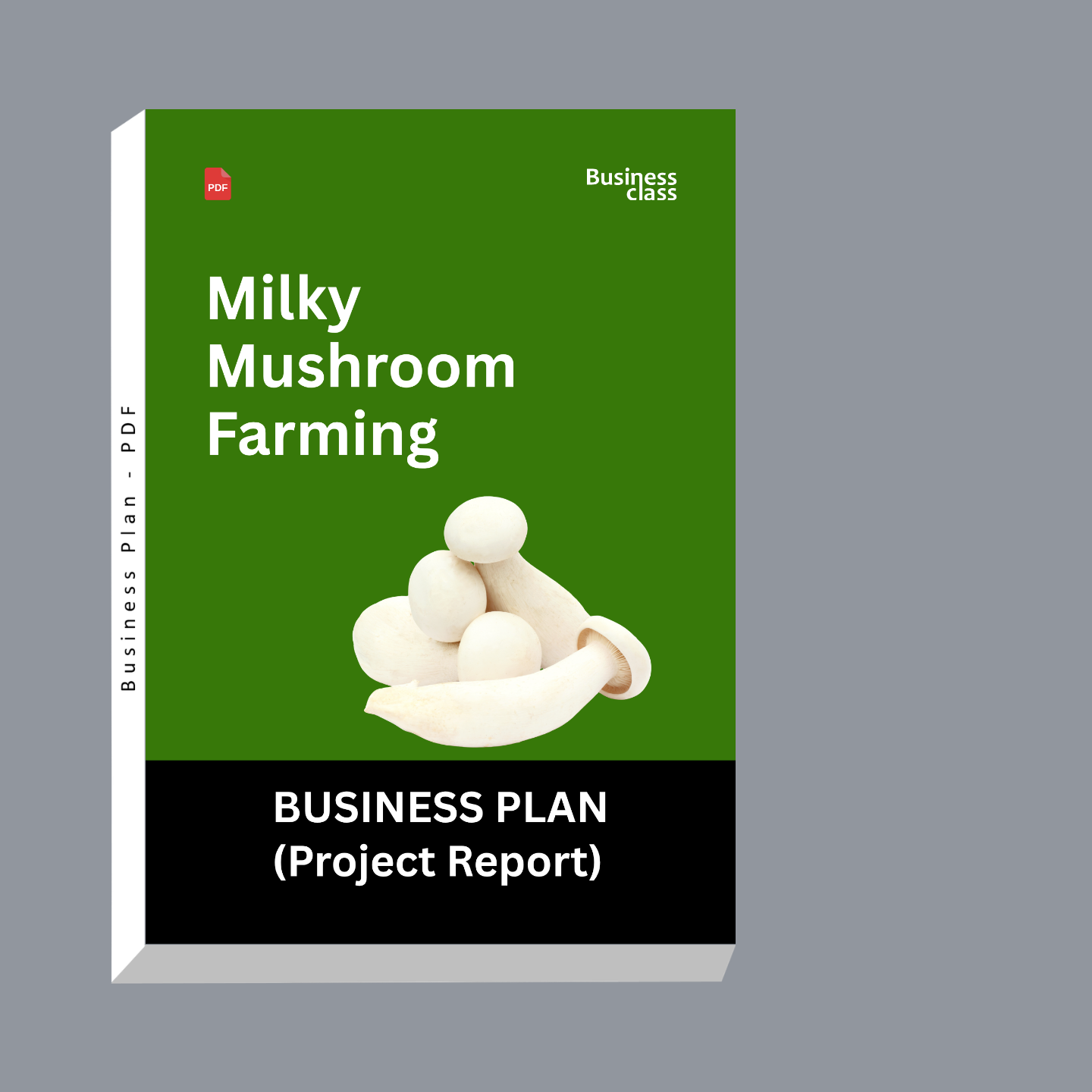 Milky Mushroom Farming Project Report & Business Plan PDF eBook