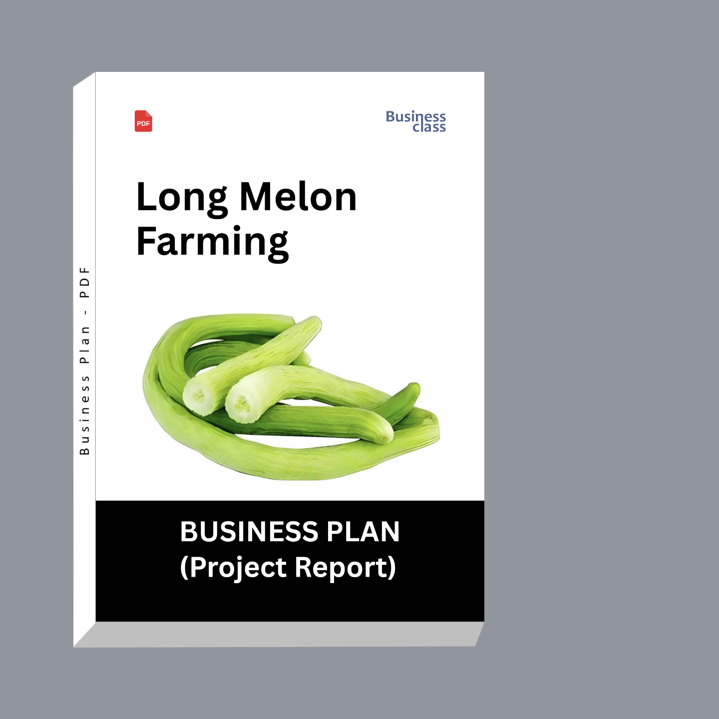 Long Melon Farming Project Report & Business Plan PDF eBook