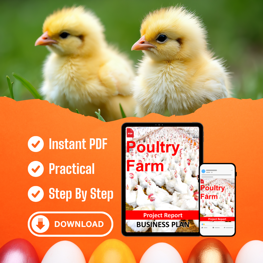 Poultry Farm Project Report and Business Guides Bundle