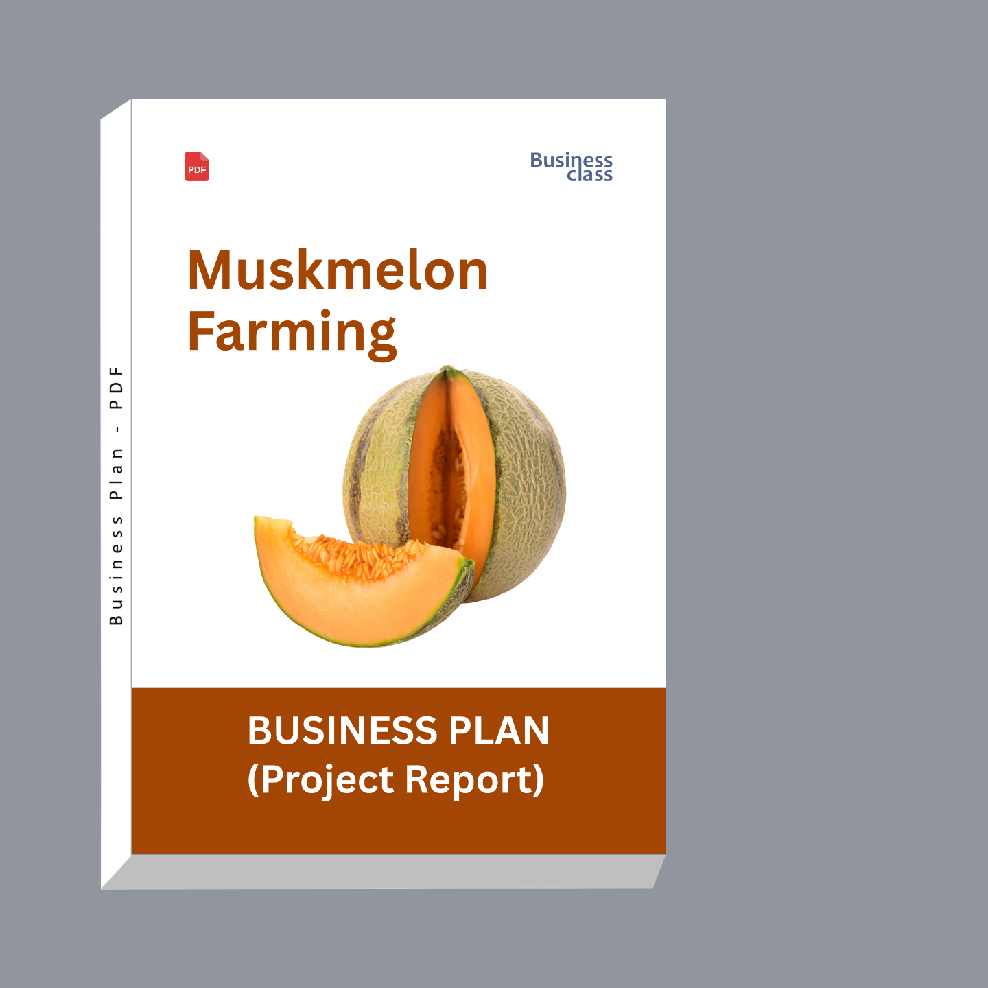 Muskmelon Farming Project Report & Business Plan PDF eBook | Cost, Profit, Yield, Cash Flow & Bank Loan Guide