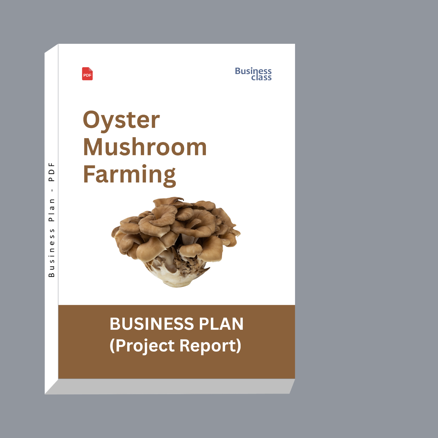 Oyster Mushroom Farming Project Report & Business Plan PDF Ebook