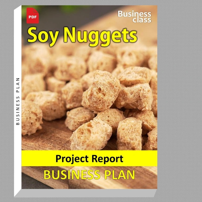 Soy Nuggets Project Report and Business Guides Bundle