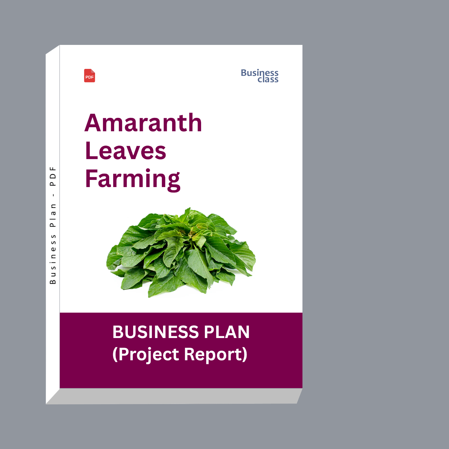 Amaranth Leaves Farming Business Plan Project Report PDF for India