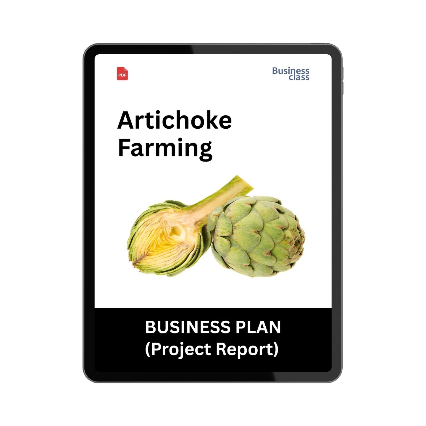 Artichoke Farming Business Plan Project Report PDF eBook for India