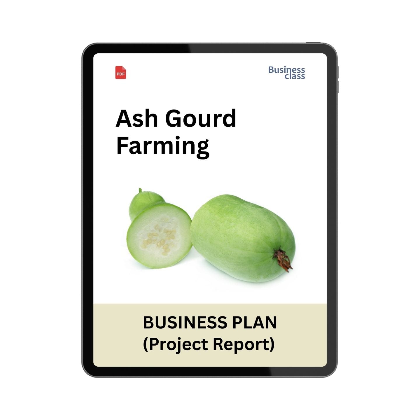 Ash Gourd Farming Business Plan Project Report PDF eBook | Commercial Cultivation, Cost, Profit & Loan Plan