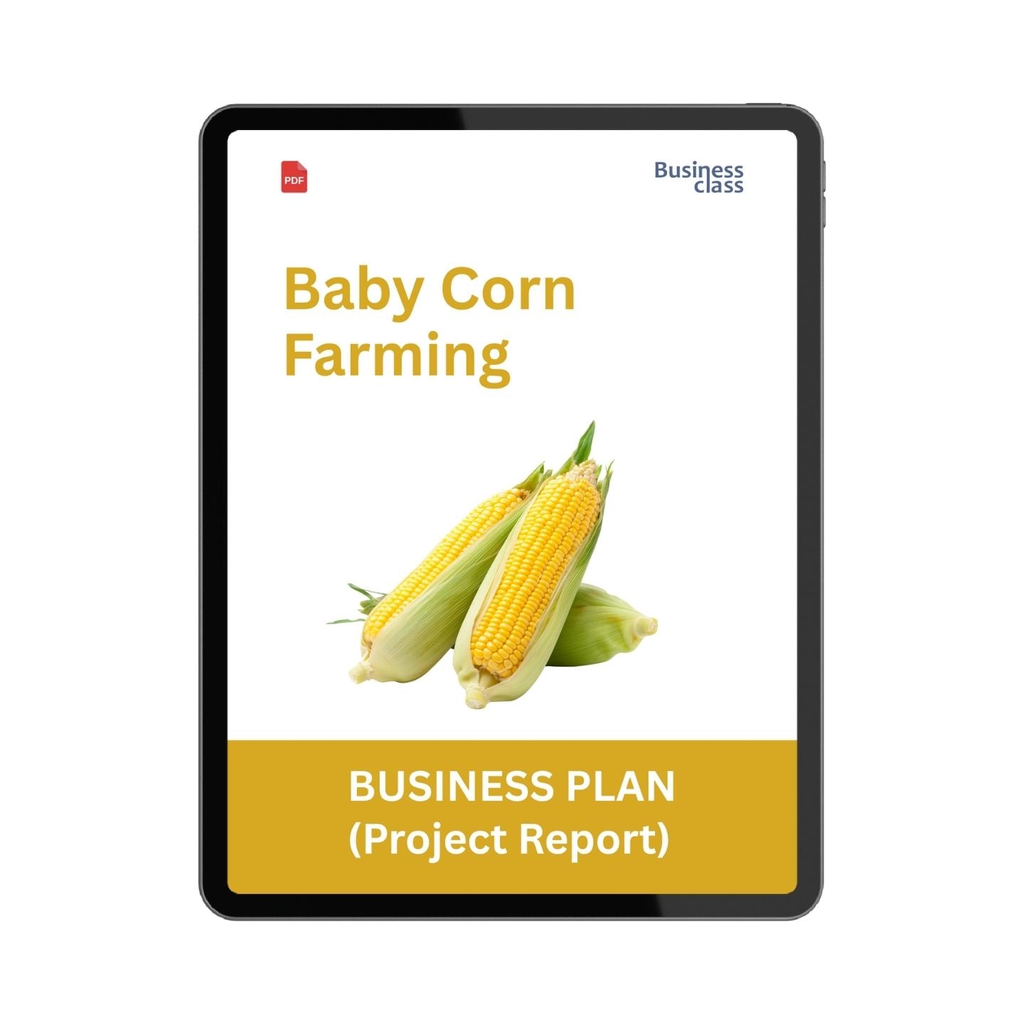 Baby Corn Farming Project Report and Business Plan PDF Ebook