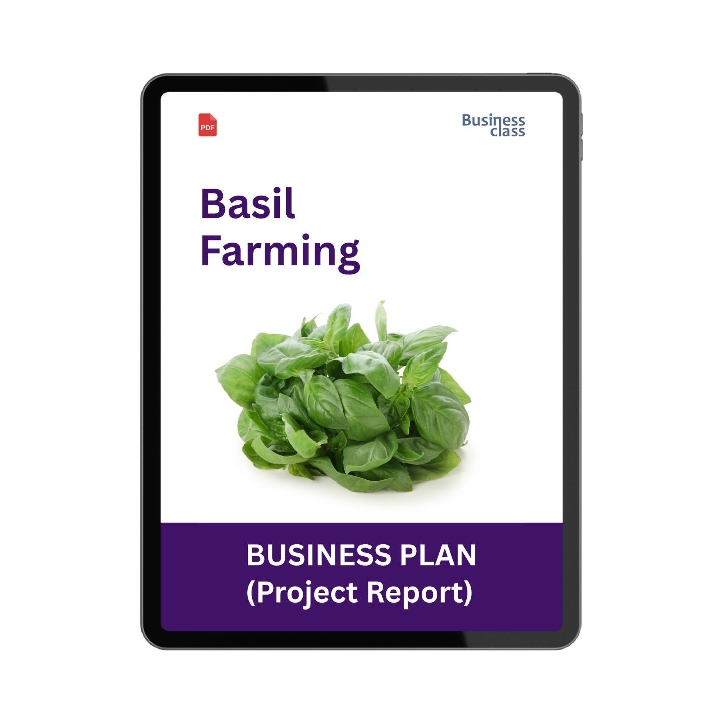Basil Farming Project Report & Business Plan PDF Ebook