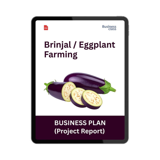Brinjal / Eggplant Farming Project Report and Business Plan PDF Guide