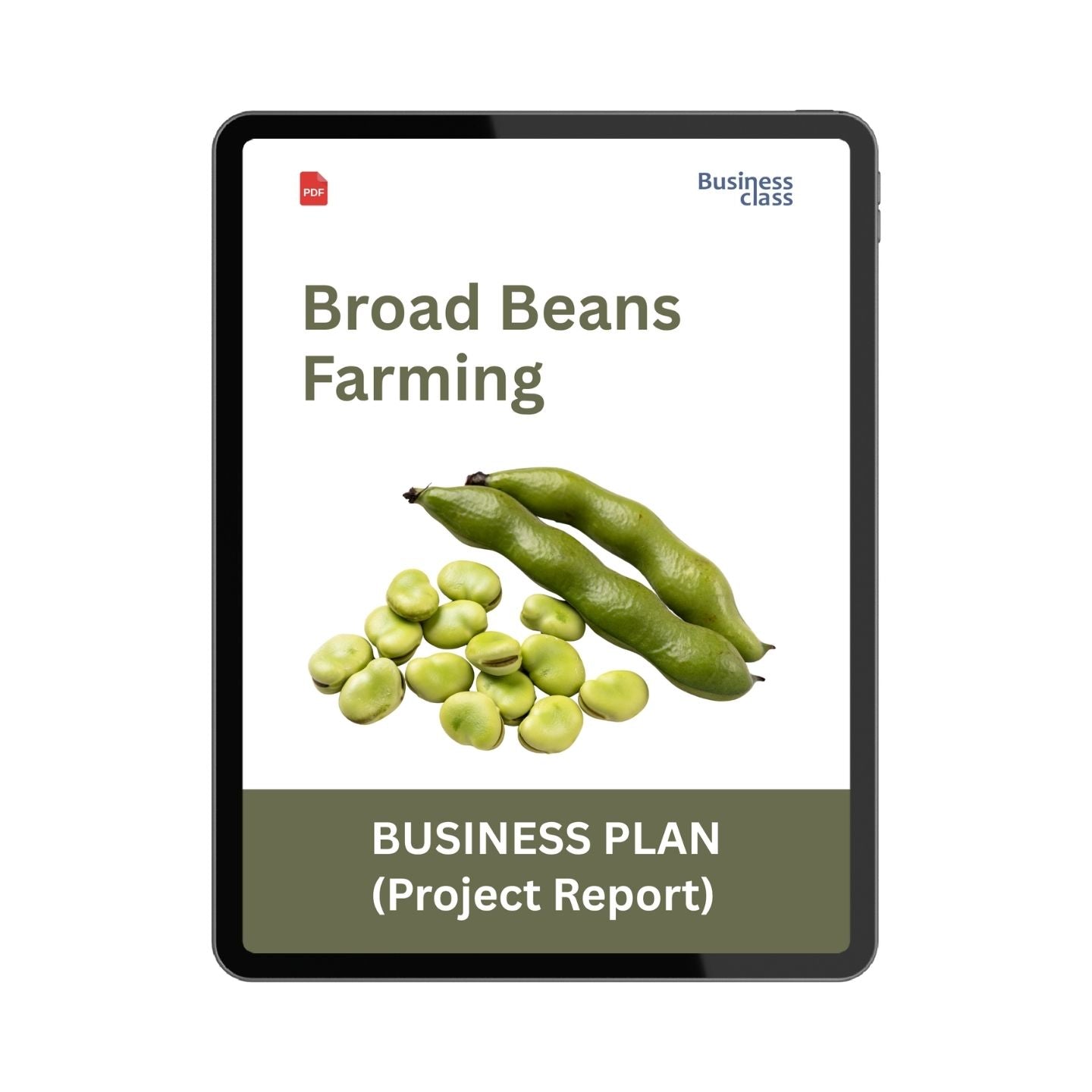 Broad Beans Farming Project Report and Business Plan PDF | Fava Bean Cost, Profit & Financial Plan